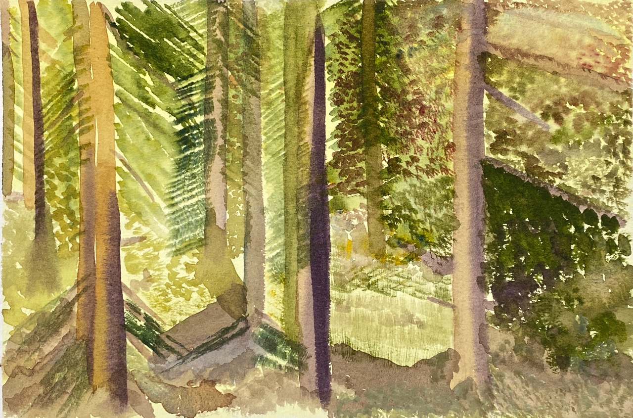 Artwork by Wednesday Painting Students: Summer Term 2025